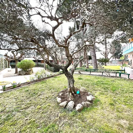 Oriol Center Apartments Appartement Castell-Platja d'Aro